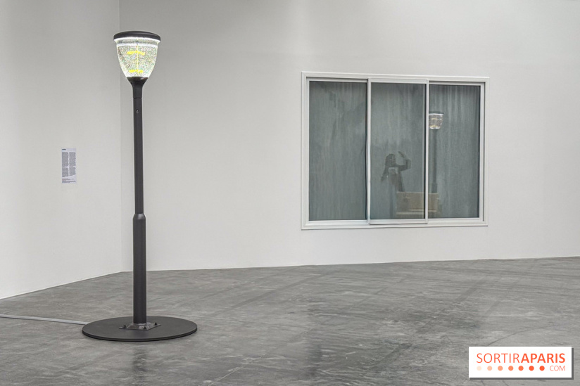 Benoît Piéron au Palais de Tokyo : une exposition sur le soin et la vulnérabilité - IMG 5871