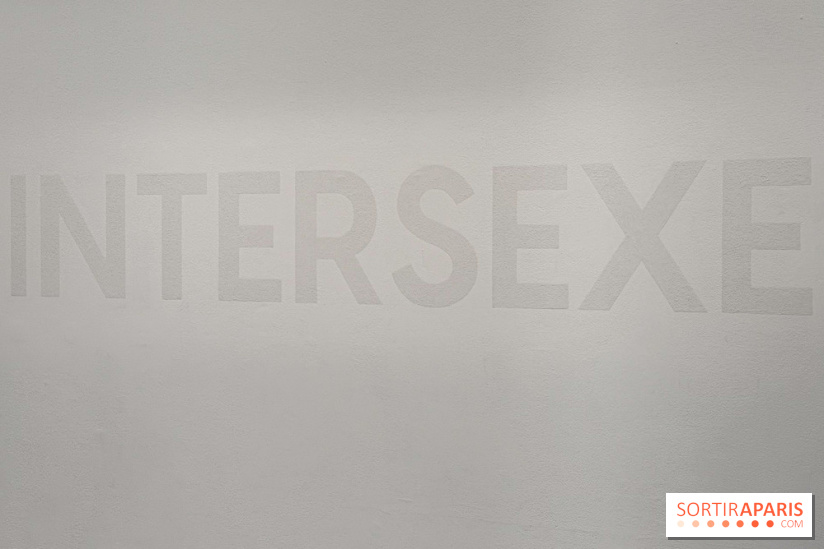 Benoît Piéron au Palais de Tokyo : une exposition sur le soin et la vulnérabilité - IMG 5880