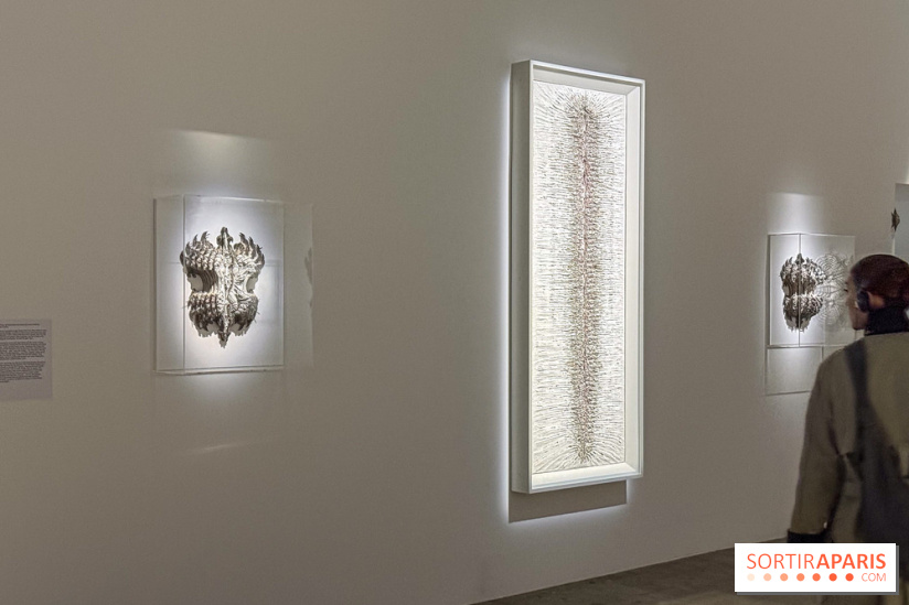 Cathy de Monchaux au Palais de Tokyo : la rétrospective à voir à Paris