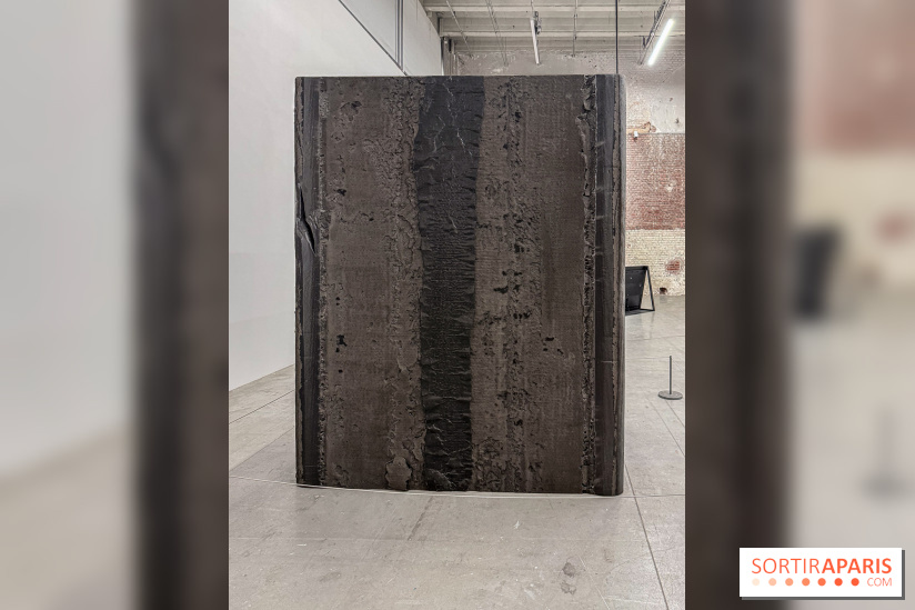 Au Palais de Tokyo, Cheryl Marie Wade explore la culture crip et la poésie engagée - IMG 5951