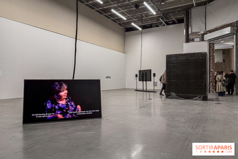 Au Palais de Tokyo, Cheryl Marie Wade explore la culture crip et la poésie engagée - IMG 5955