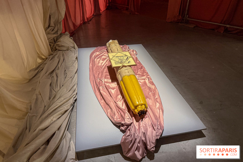 Pauline Curnier Jardin au Palais de Tokyo : l'exposition autour des mythes et des corps - IMG 5971