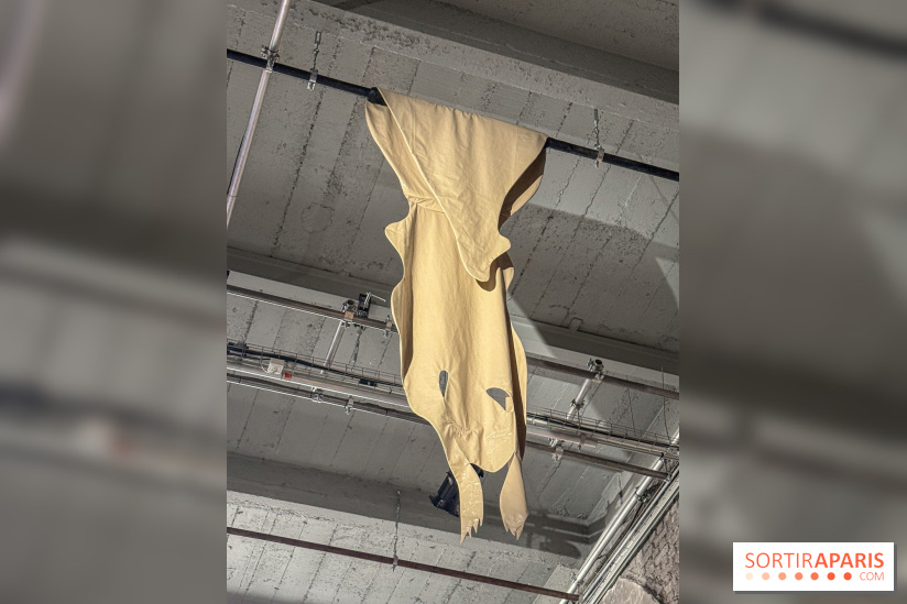 Pauline Curnier Jardin au Palais de Tokyo : l'exposition autour des mythes et des corps - IMG 5987