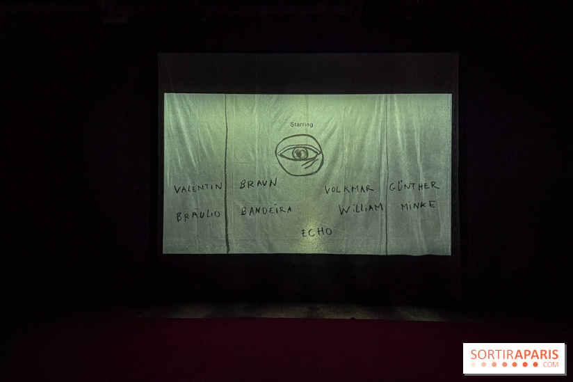 Pauline Curnier Jardin au Palais de Tokyo : l'exposition autour des mythes et des corps - IMG 5995