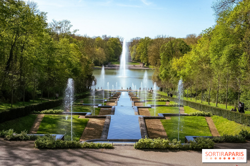 Hanami au Parc de Sceaux 2026, les cerisiers en fleurs et ses  animations