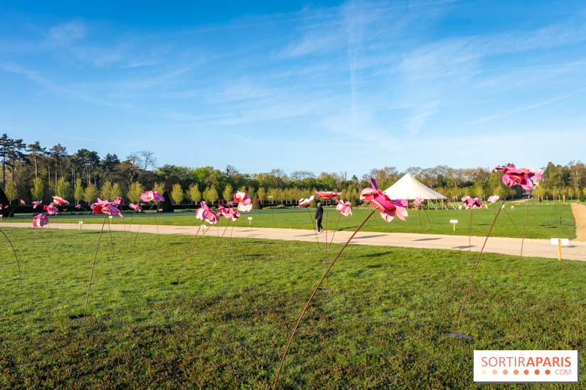 Hanami au Parc de Sceaux 2026, les cerisiers en fleurs et ses  animations