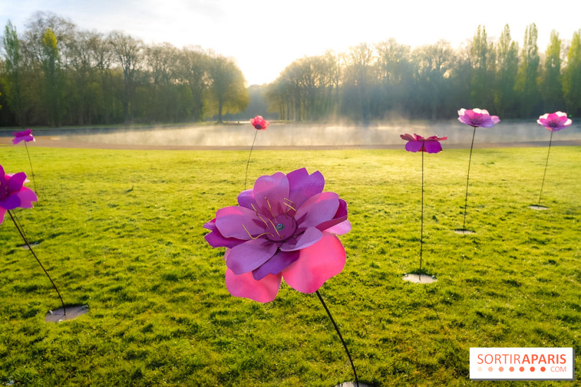 Hanami au Parc de Sceaux 2026, les cerisiers en fleurs et ses  animations