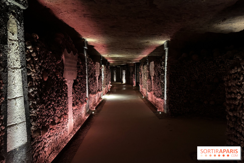 Les Catacombes de Paris 2026 - IMG 3677