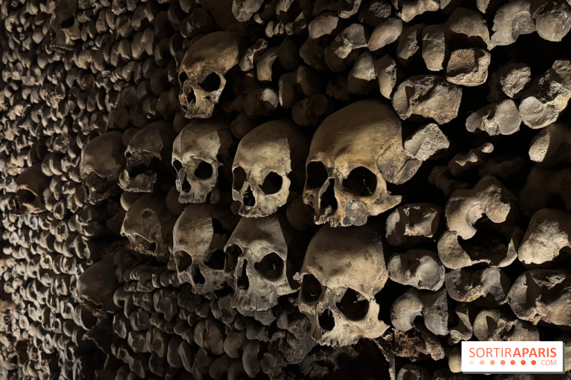 Les Catacombes de Paris 2026 - IMG 3685