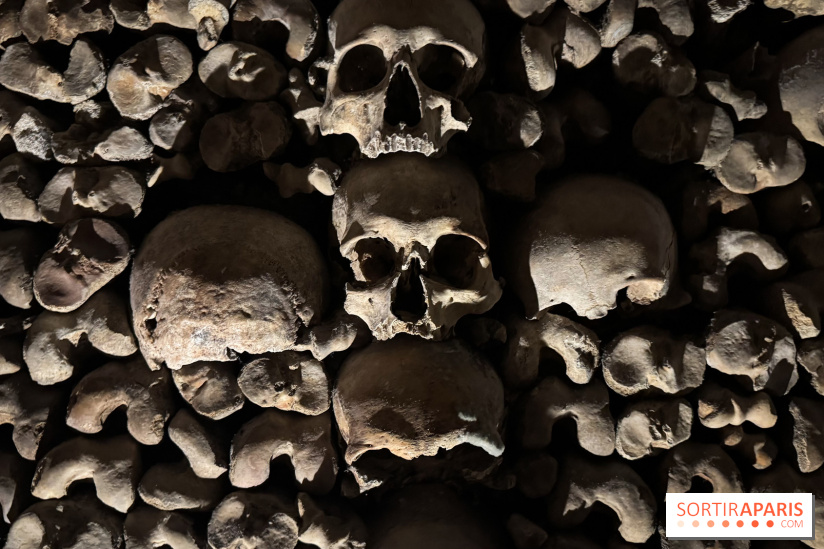 Les Catacombes de Paris 2026 - IMG 3686