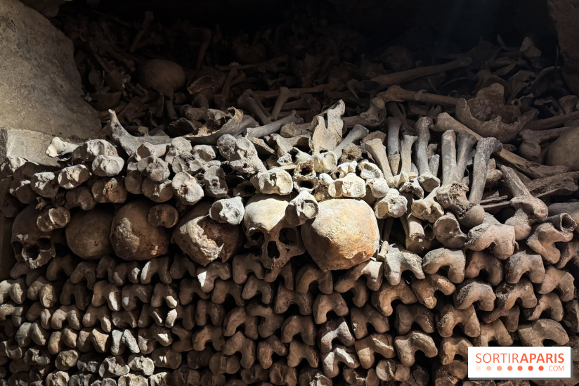 Les Catacombes de Paris 2026 - IMG 3691