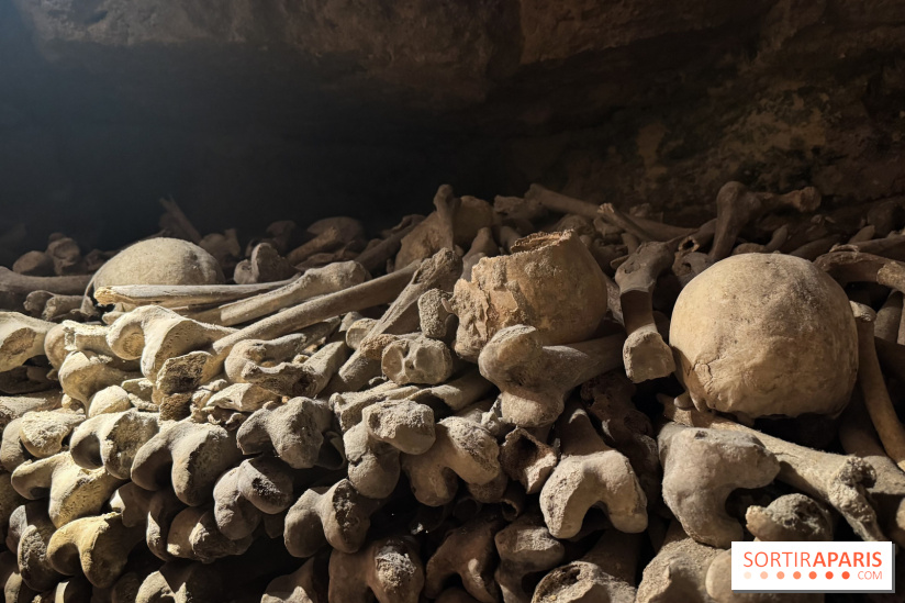 Les Catacombes de Paris 2026 - IMG 3692