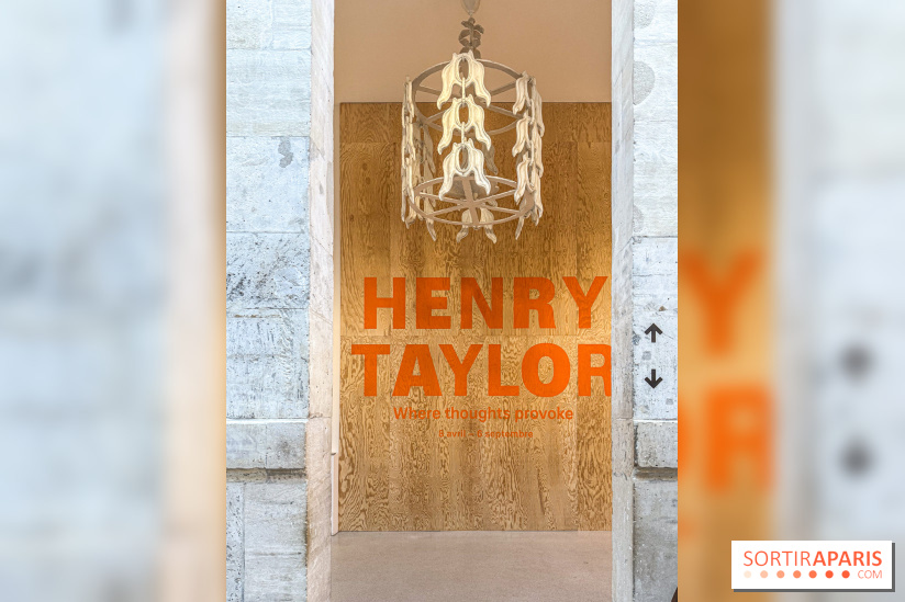 Exposition Henry Taylor au Musée Picasso - IMG 6004