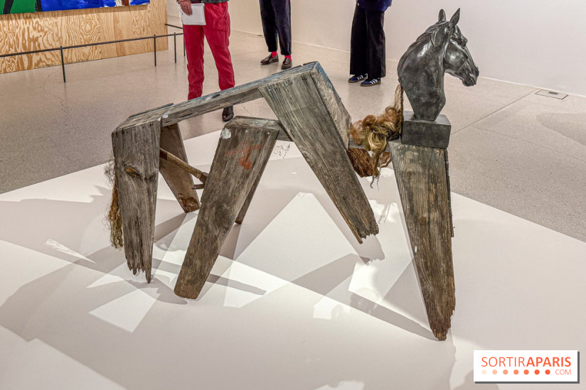 Exposition Henry Taylor au Musée Picasso - IMG 6008