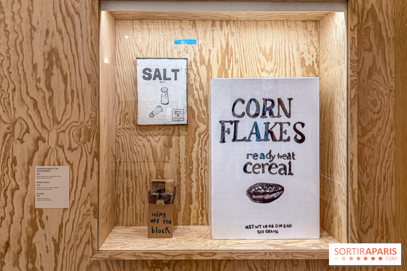 Exposition Henry Taylor au Musée Picasso - IMG 6053