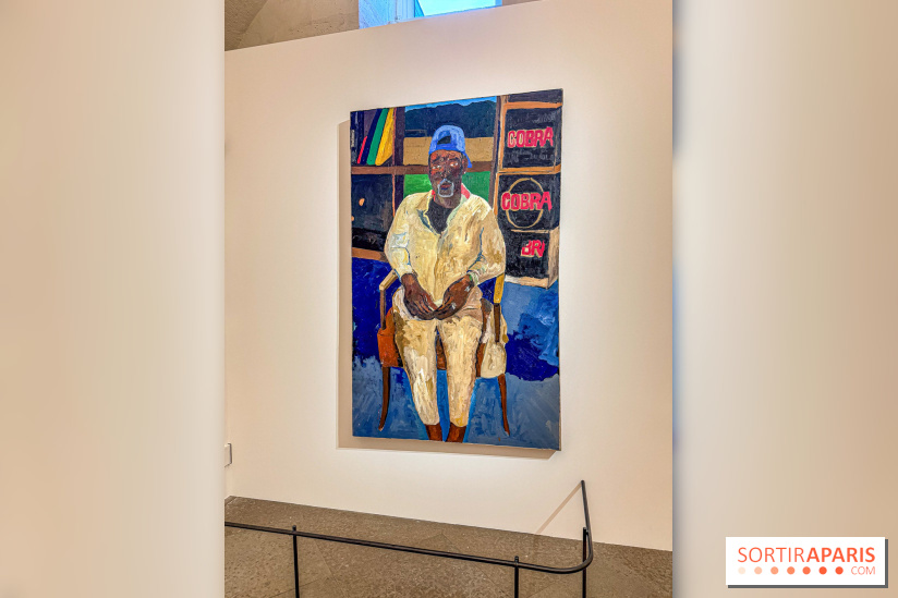 Exposition Henry Taylor au Musée Picasso - IMG 6083