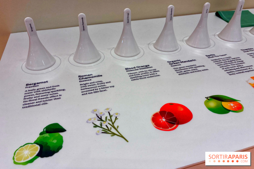 Paris Perfume Week - IMG 4910