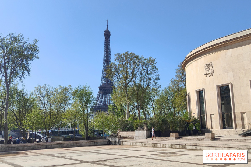 Le musée d'art moderne et ses collections à Paris