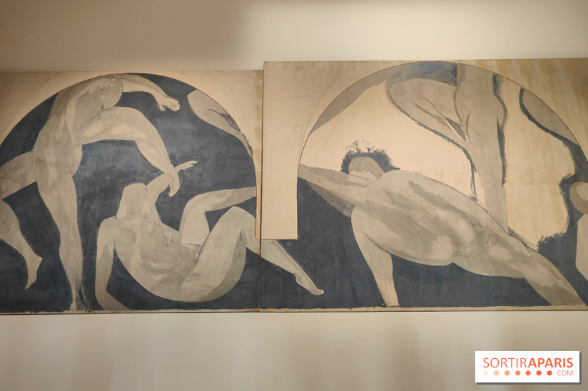 Le musée d'art moderne et ses collections à Paris