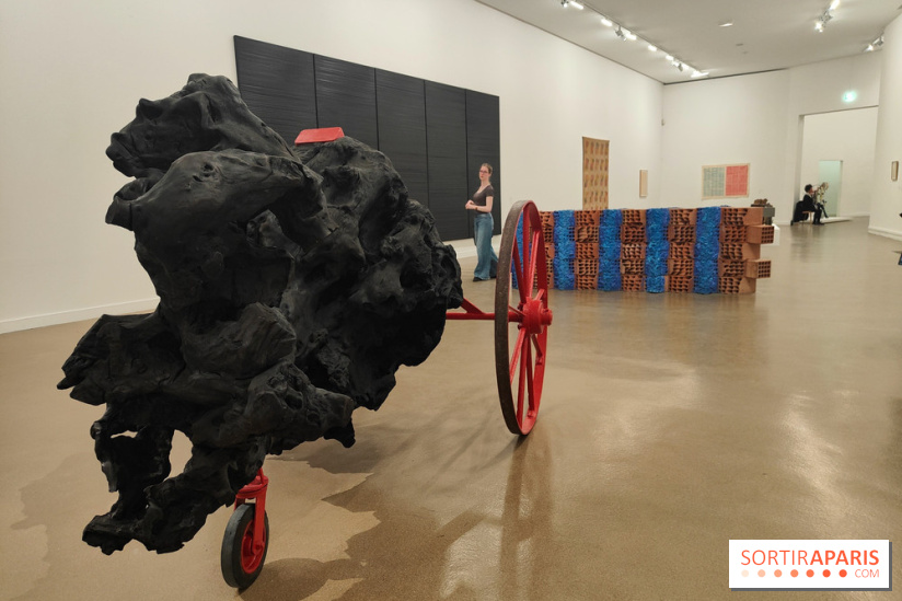 Le musée d'art moderne et ses collections à Paris