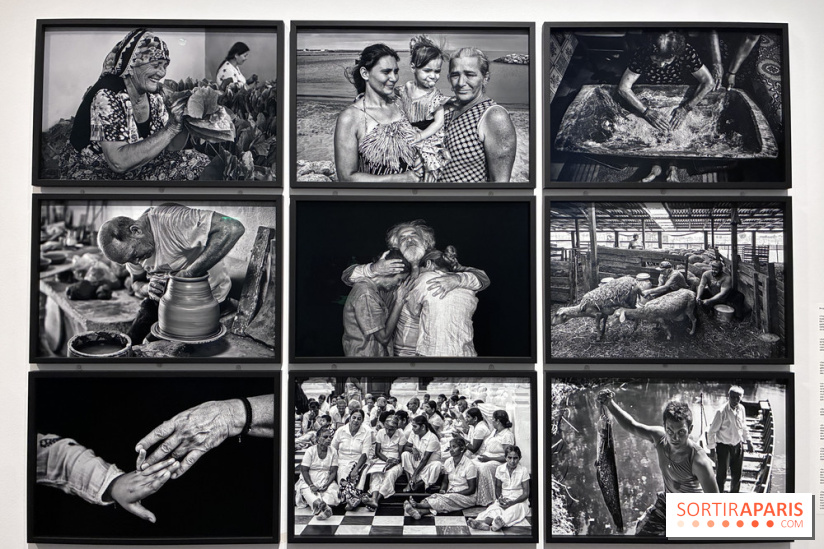 Les Grands âges : une exposition photo sensible de Nikos Aliagas au Musée de l'Homme  - IMG 5025