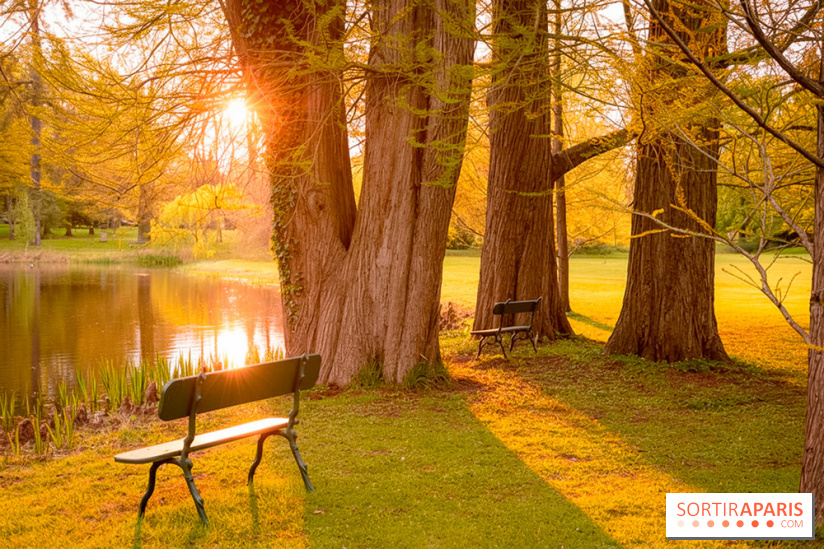 Château de Courson et son domaine : Parc Botanique et Jardin Remarquable en Région Parisienne  - A7C02963 Edit