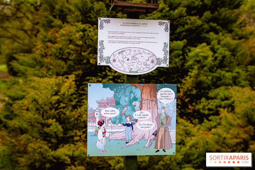 Château de Courson et son domaine : Parc Botanique et Jardin Remarquable en Région Parisienne  - A7C02957