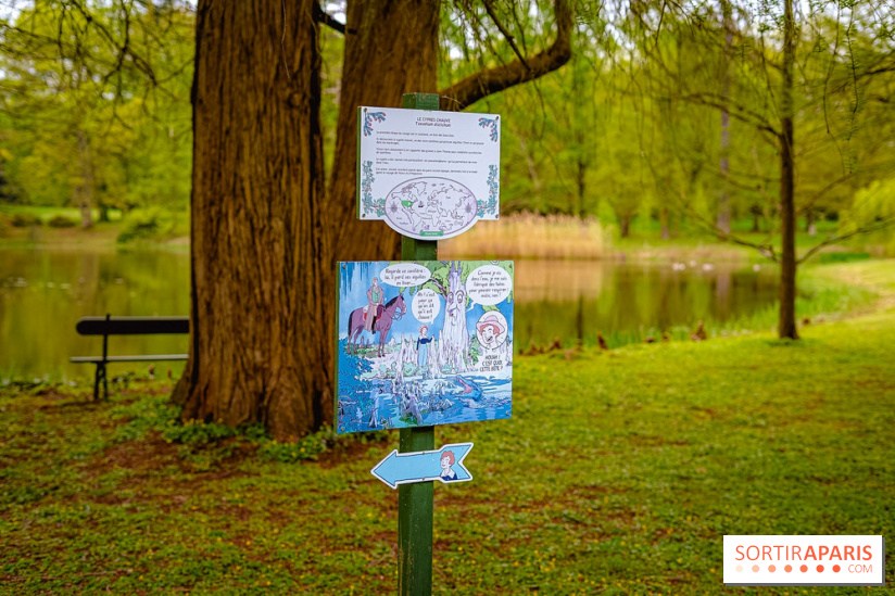 Château de Courson et son domaine : Parc Botanique et Jardin Remarquable en Région Parisienne  - A7C02966