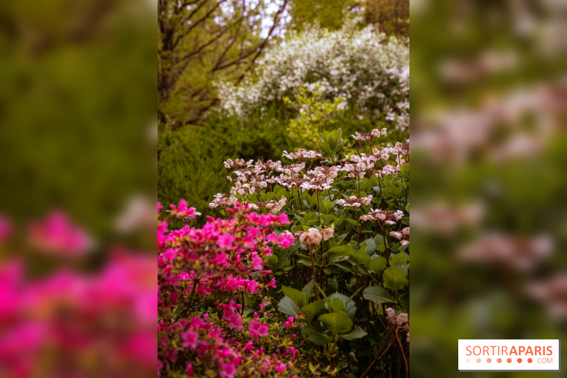 Château de Courson et son domaine : Parc Botanique et Jardin Remarquable en Région Parisienne  - A7C02953