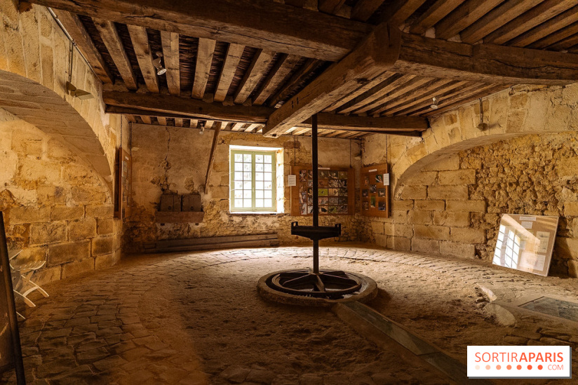 Château de Courson et son domaine : Parc Botanique et Jardin Remarquable en Région Parisienne  - A7C03070