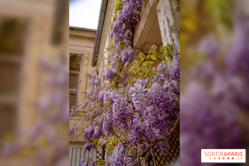 Château de Courson et son domaine : Parc Botanique et Jardin Remarquable en Région Parisienne  - A7C03026