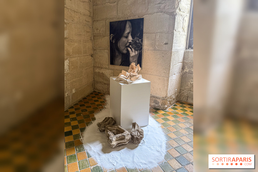 Inkarna : l’exposition de Yosra Mojtahedi à l’Abbaye de Maubuisson
