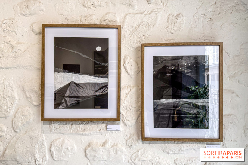 Fantôme à la galerie La Lison : exposition Avant les cendres - IMG 6209