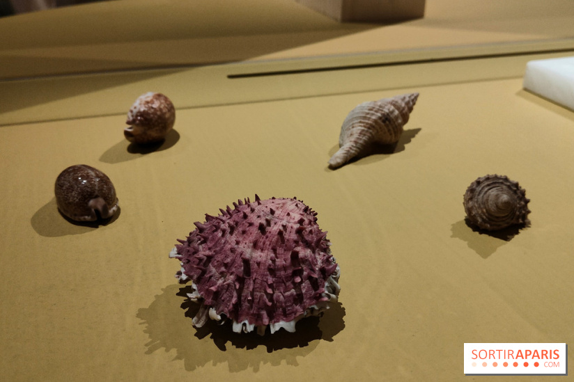Explorateurs, une exposition du musée de l'armée