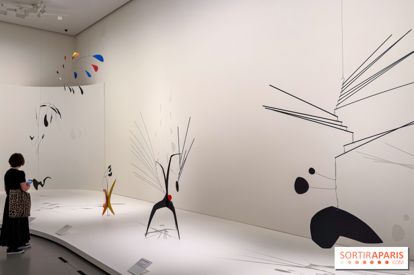 Calder. Rêver en Équilibre : l'exposition retrospective du  - IMG 3105