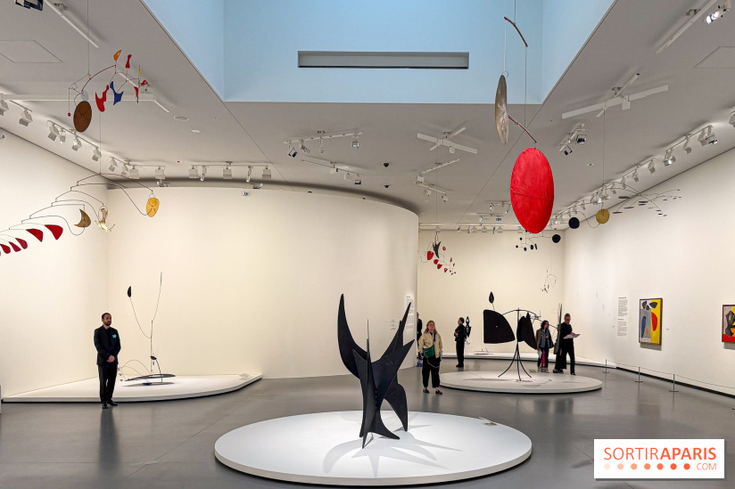 Calder. Rêver en Équilibre : l'exposition retrospective du  - IMG 3155