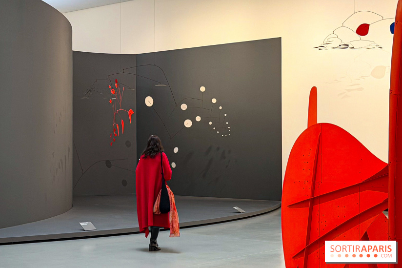Calder. Rêver en Équilibre : l'exposition retrospective du  - IMG 3250