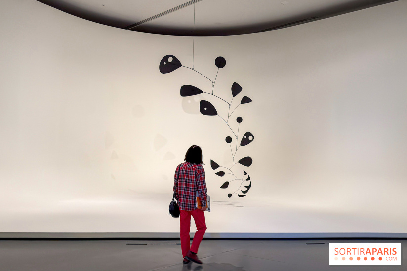 Calder. Rêver en Équilibre : l'exposition retrospective du  - IMG 2716