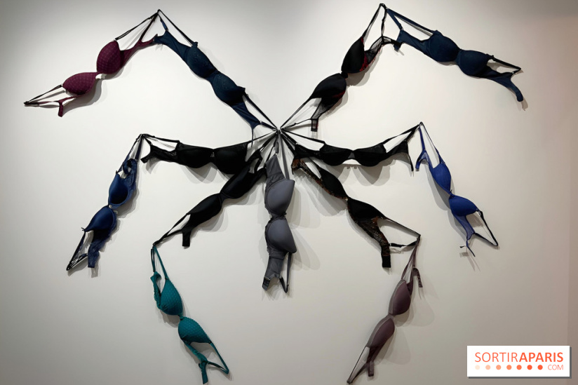 Annette Message au musée de la Chasse et de la Nature - nos photos - IMG 7307