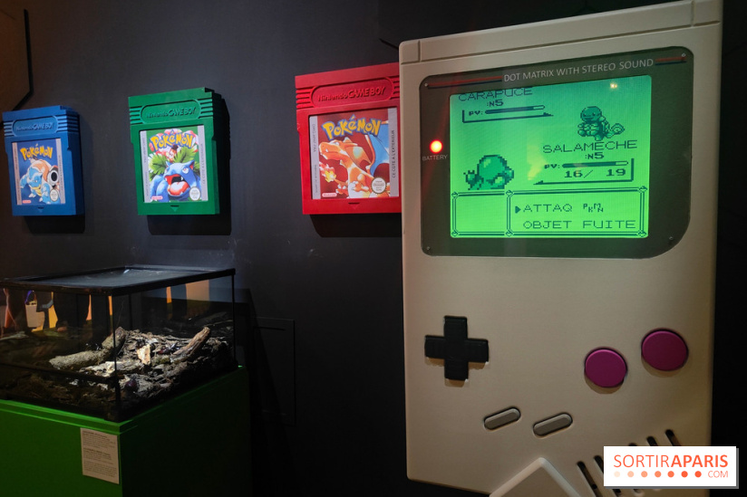 Admirez-les tous, Pokémon à l'honneur dans une exposition ludique et régressive au musée en Herbe