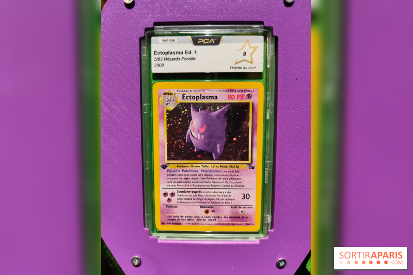 Admirez-les tous, Pokémon à l'honneur dans une exposition ludique et régressive au musée en Herbe