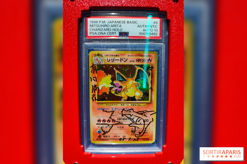 Admirez-les tous, Pokémon à l'honneur dans une exposition ludique et régressive au musée en Herbe