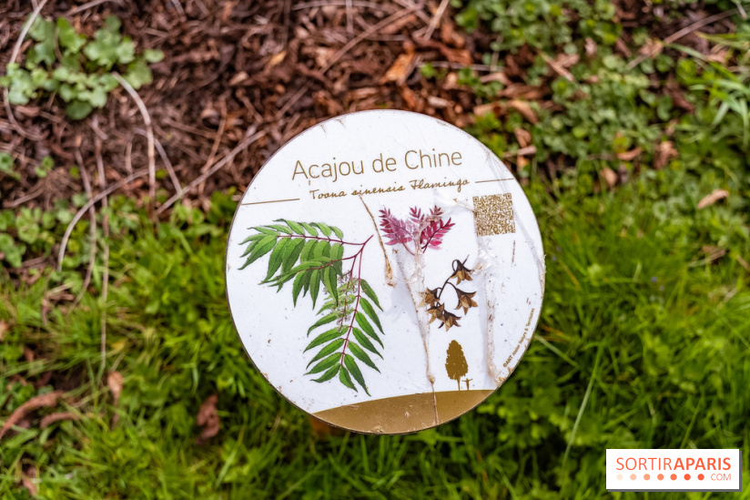 Le Château de Buc et son superbe domaine, parc paysagé aux nombreux trésors