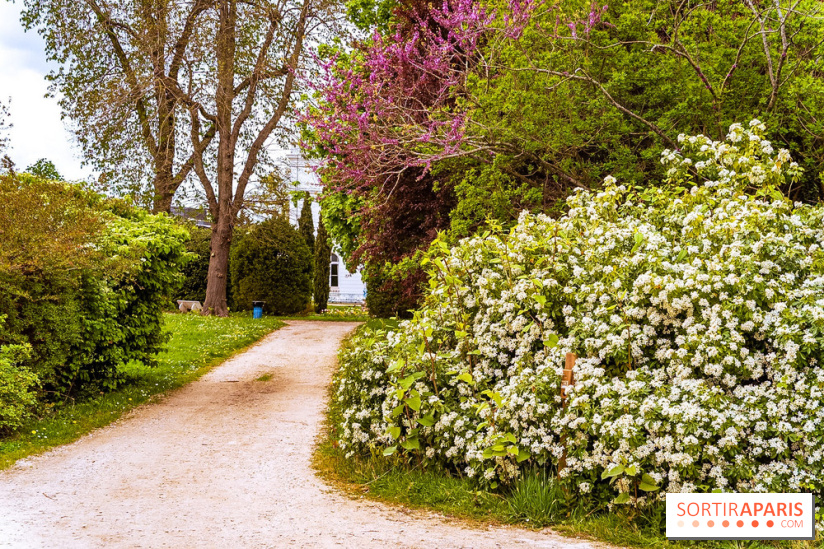 Le Château de Buc et son superbe domaine, parc paysagé aux nombreux trésors - A7C03153