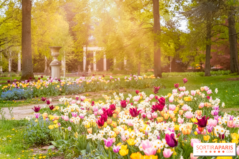 Le Château de Buc et son superbe domaine, parc paysagé aux nombreux trésors - A7C03157 Edit