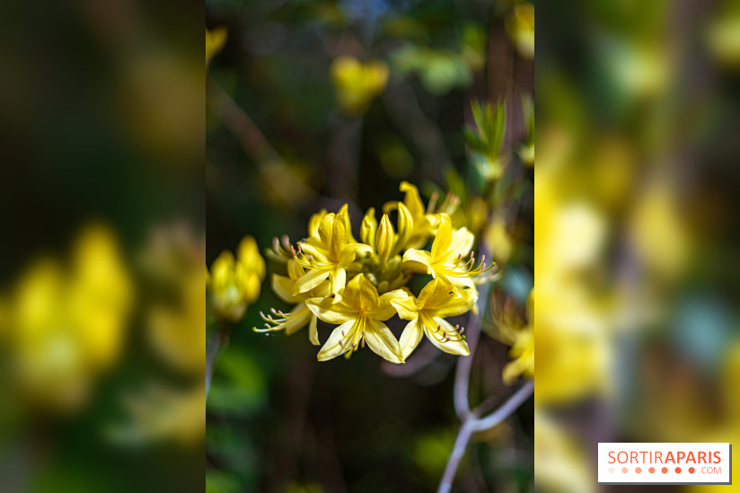 Parc et Jardins du Château de Fontainebleau - les photos  - A7C04482