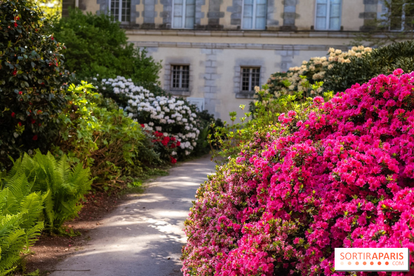 Parc et Jardins du Château de Fontainebleau - les photos