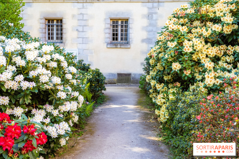 Parc et Jardins du Château de Fontainebleau - les photos