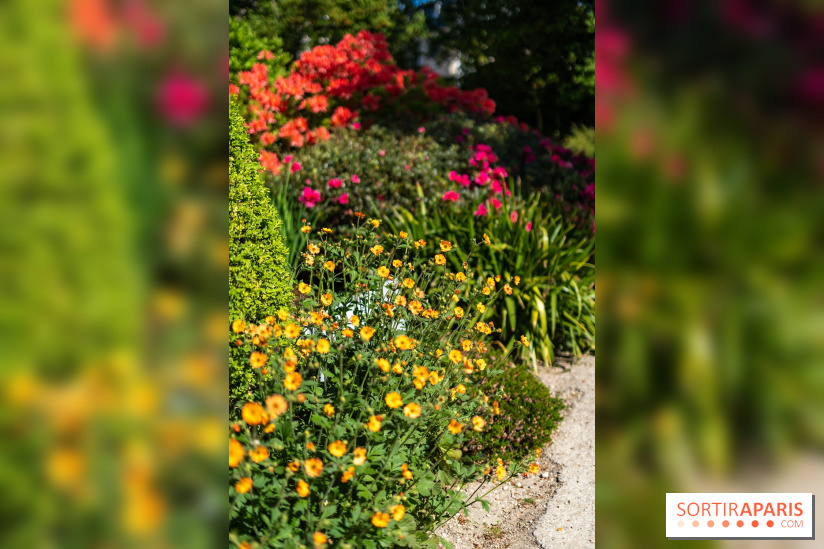 Parc et Jardins du Château de Fontainebleau - les photos