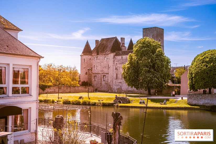 Château Musées de Nemours en Seine-et-Marne - photos